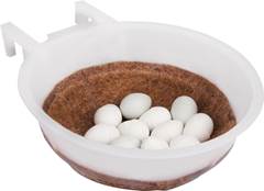 NINHO ESPECIAL PACOTE COM 12 PCS